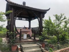 -樂桃源奉贤黄桃种植采摘基地