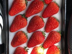 荷兰大草莓-好久不见网红乐队酒吧(鼓浪屿海底世界店)