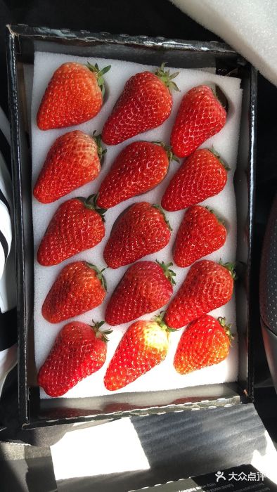 好久不见网红乐队酒吧(鼓浪屿总店)荷兰大草莓图片 - 第1张