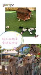 -萌宠亲子动物乐园(槐房万达店)