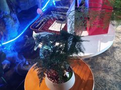 -城墙拐拐火锅(三峡广场黑金冠店)