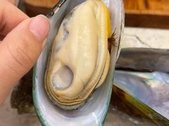 焖青口-白仁仔· 活烤海鲜 宵夜(豫园店)