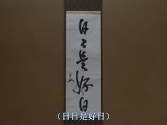 -同济大学附属口腔医院