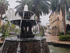 -广东惠东海龟国家级自然保护区