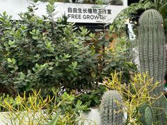 -自由生长植物工作室(深港花卉中心店)