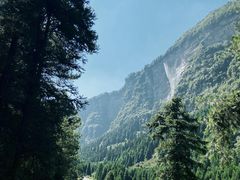 -重庆睡佛山森林公园