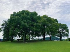 -上海月湖雕塑公园