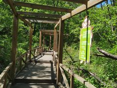 -大岭沟猕猴桃谷风景区