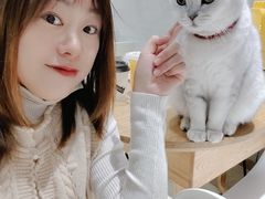 -藏猫猫咖啡主题馆(中央大道店)