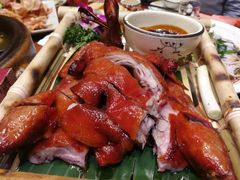 -老滇山寨•云南特色菜•地方菜•民族风情歌舞表演(金碧店)