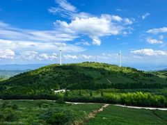 -东白山