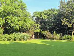 -上海吴淞炮台湾国家湿地公园
