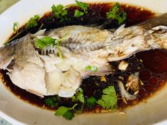 清蒸鲈鱼-同发号饭庄(复兴路店)