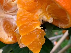 -上海龙吴水胜海发市场