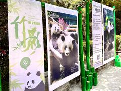 -灵玲国际马戏城