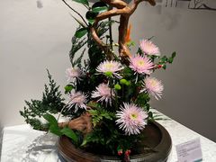 -杭州植物园