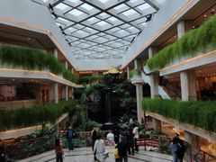 -广州白天鹅宾馆