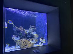 -成都浩海立方海洋公园