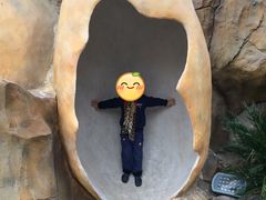 -自然谷恐龙园
