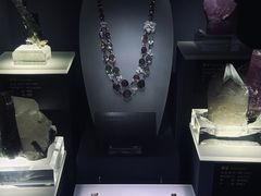 -湖南省地质博物馆