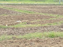 -老奶奶私房菜(天台里街店)