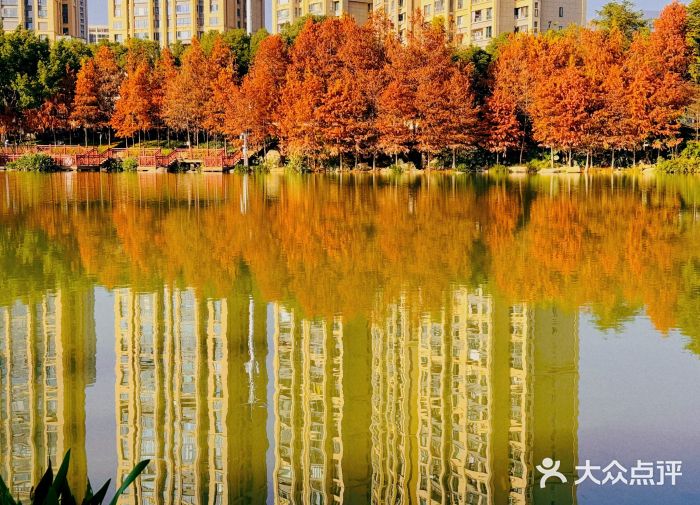 琴亭湖公园图片