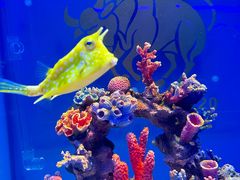 -石家庄极地海洋世界