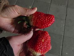 -蜀腾川·火锅鱼.烤鱼(新世界城店)