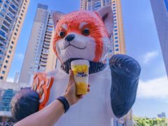 -树夏(成都招商大魔方店)