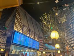 -桂满陇·海市蜃楼·黑金(国金店)