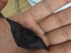 -南京大学-第9食堂