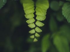 -维乐口腔医院(星海湾分院)