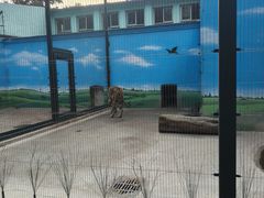 -保定市动物园
