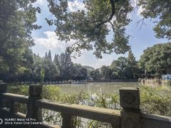 -汇龙潭