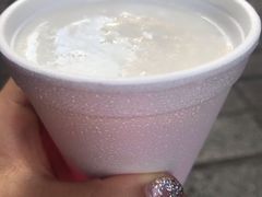 -洪馨椰子