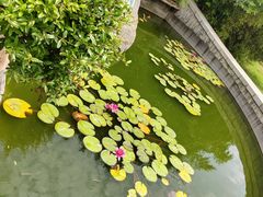 -烟台山景区