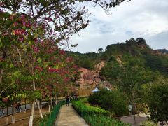 -神光山国家森林公园