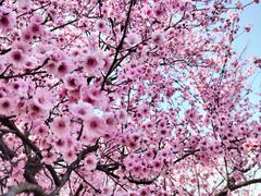 -白塘生态植物园