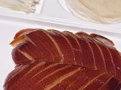 -天天鱼港·海鲜·鲅鱼水饺·招牌烤鸭(黄骅店)