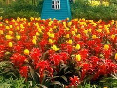 -南宫五洲植物乐园