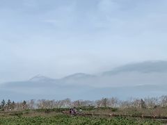 -凤凰山国家森林公园