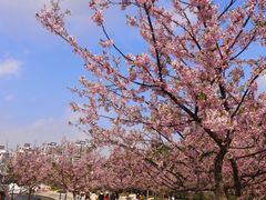 -新江湾城公园