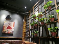 -ISLAND MASS岛·精酿吧