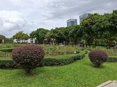 -紫马岭公园