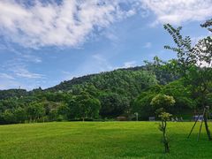 -火炉山森林公园