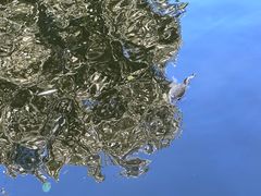 -酷鱼垂钓CLUB(朝阳区博大路店 )