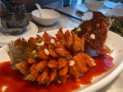 松鼠桂鱼-新梅华餐厅(星悦汇店)