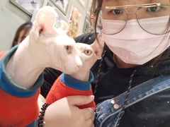 -藏猫猫咖啡主题馆(中央大道店)