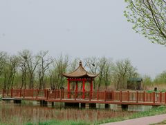 -南大港湿地风景区