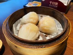 千日贺虾饺皇-千日贺茶餐厅(高新万达店)